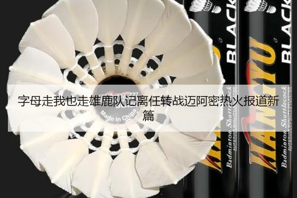 字母走我也走雄鹿队记离任转战迈阿密热火报道新篇