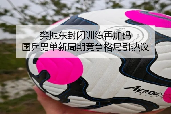 樊振东封闭训练再加码 国乒男单新周期竞争格局引热议
